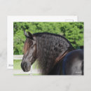 Recherche de friesian horse cartes postales Friésien