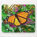 Recherche de papillon monarque tapis souris Photographie