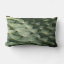 Suche nach stachelig kissen Wüste