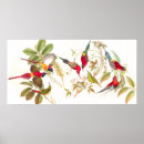 Suche nach gould poster Vintag