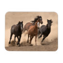 Suche nach pferd magnete Galoppieren