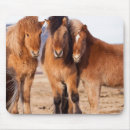 Suche nach isländisches pferd mousepads Tier