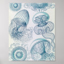 Recherche de illustrations scientifiques posters Histoire naturelle