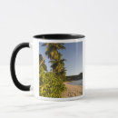 Recherche de seychelles tasses Ciel bleu