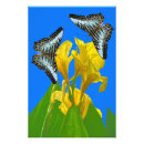 Suche nach erweiterung poster Tierwelt