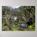 Suche nach tui poster Vogel