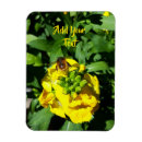Recherche de abeilles magnets Insecte