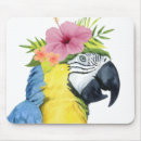 Recherche de perroquets tapis souris Animaux