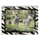 Suche nach zebra kalender Natur
