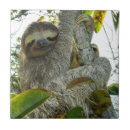 Suche nach sloth fliesen Dschungel