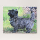 Recherche de broches puzzles Cairn