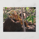 Recherche de extinction cartes postales Jaune