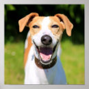 Suche nach lustige tierbild poster Tierbilder