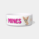 Recherche de de chiwawa animaux articles Animal familier