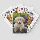 Recherche de charme jeux de cartes Chien