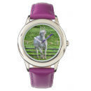 Recherche de photo de cheval montres Animal