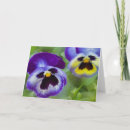 Suche nach stiefmütterchen karten Blume