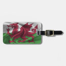 Suche nach wales gepäckanhänger Walflagge