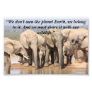 Suche nach elefanten foto poster Tierfotografie