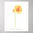 Recherche de poppy paintings posters Pour tous