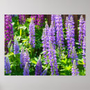 Recherche de blumen posters Rosa