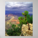 Suche nach national park poster Baum