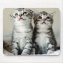 Suche nach niedliches kätzchen mousepads Haustier