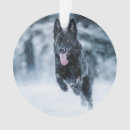 Suche nach schwarze schafe ornamente Hund