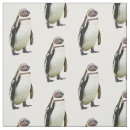 Recherche de pingouin tissus Animal