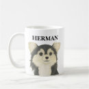 Recherche de longs chiens tasses Chihuahua