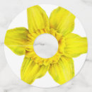 Recherche de marque verres Jaune