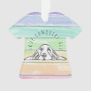 Suche nach basset ornamente Tier