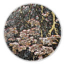 Recherche de lumière boutons et poignées de porte Nature