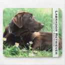 Recherche de beau chien tapis souris Labrador