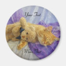 Suche nach schlaf magnete Katze