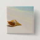 Suche nach seashell buttons Wellen
