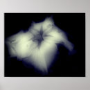 Suche nach weiße blume auf schwarzem hintergrund poster Für sie