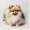 Recherche de pomeranian puzzles Mignon