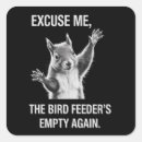 Recherche de écureuils drôles autocollants Humour