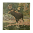 Suche nach jagd fliesen See