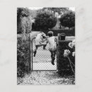 Recherche de deux cartes postales Enfant