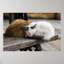 Recherche de crétois Grèce