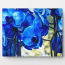 Suche nach orchidee fotoplatten Blumenreich