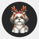 Recherche de shih tzu autocollants Drôle