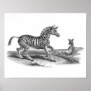 Recherche de vintage animal posters Pour elle