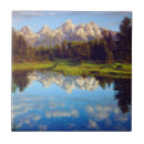 Recherche de teton grand carreaux Forêt