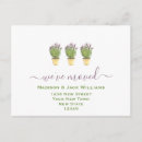 Suche nach lavendel postkarten Umlaufankündigung