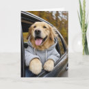 Suche nach autofahren karten Hund