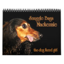 Recherche de teckels bureau fournitures Doxie
