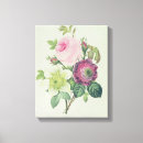 Suche nach anemone leinwandbilder Blume